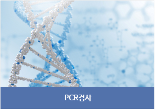 pcr 검사